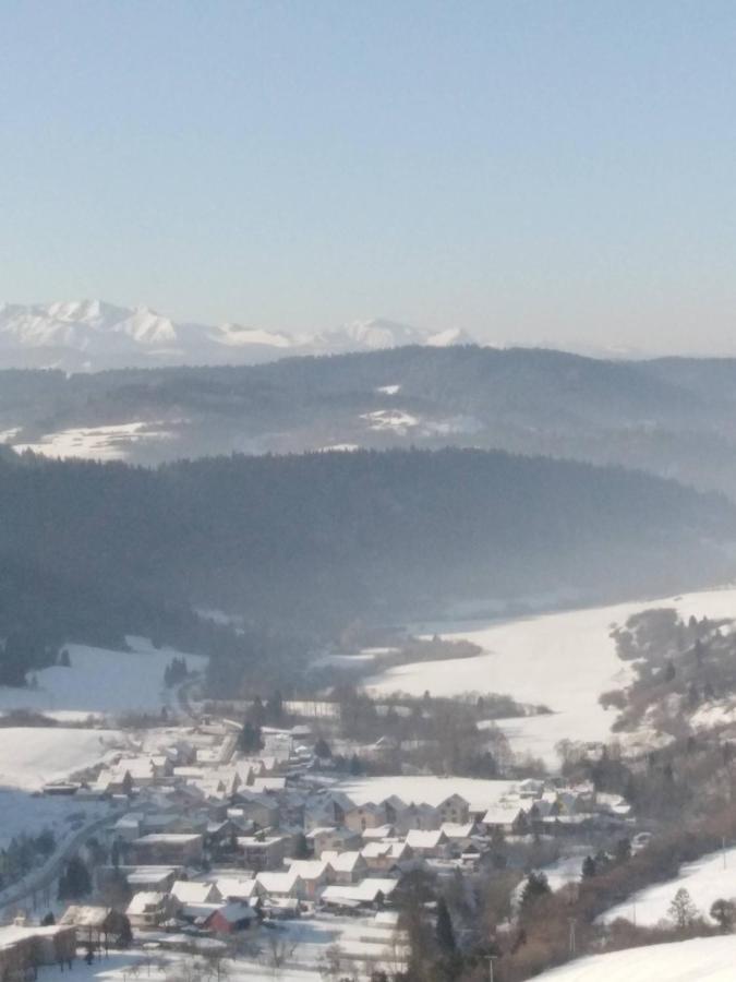 Chata Holica Pieniny Lesnica Bagian luar foto