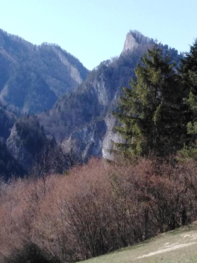 Chata Holica Pieniny Lesnica Bagian luar foto