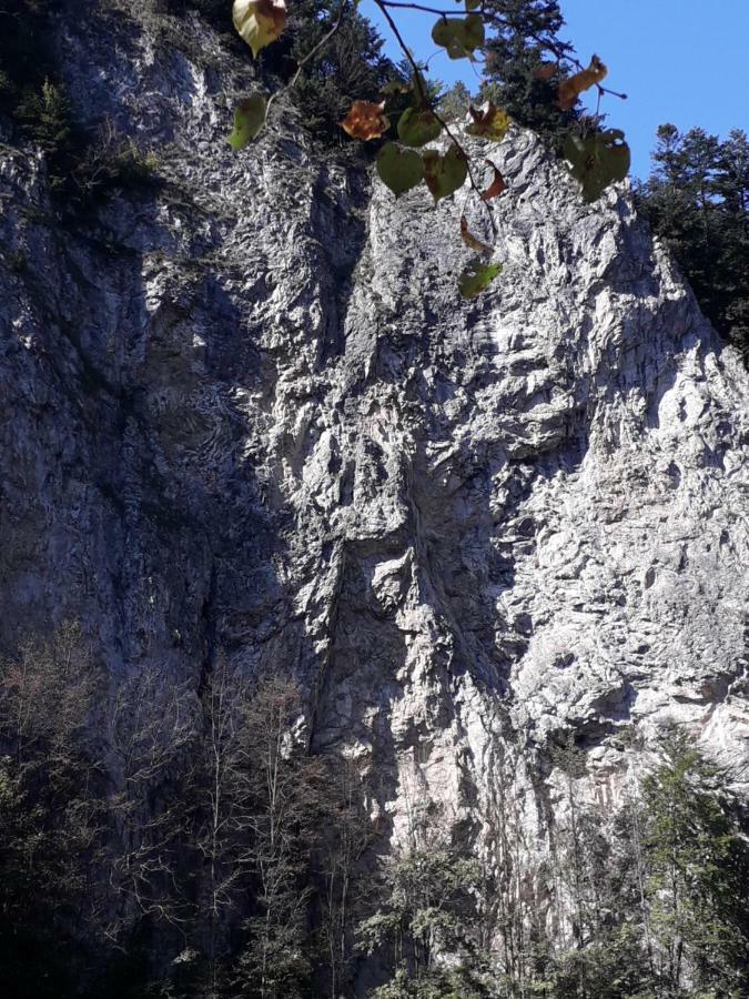 Chata Holica Pieniny Lesnica Bagian luar foto