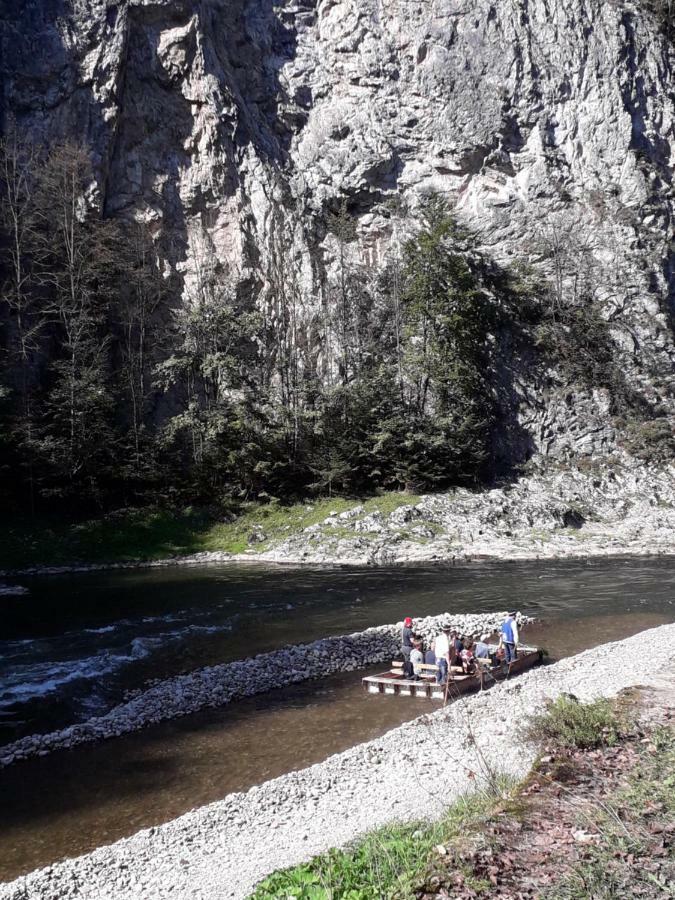 Chata Holica Pieniny Lesnica Bagian luar foto