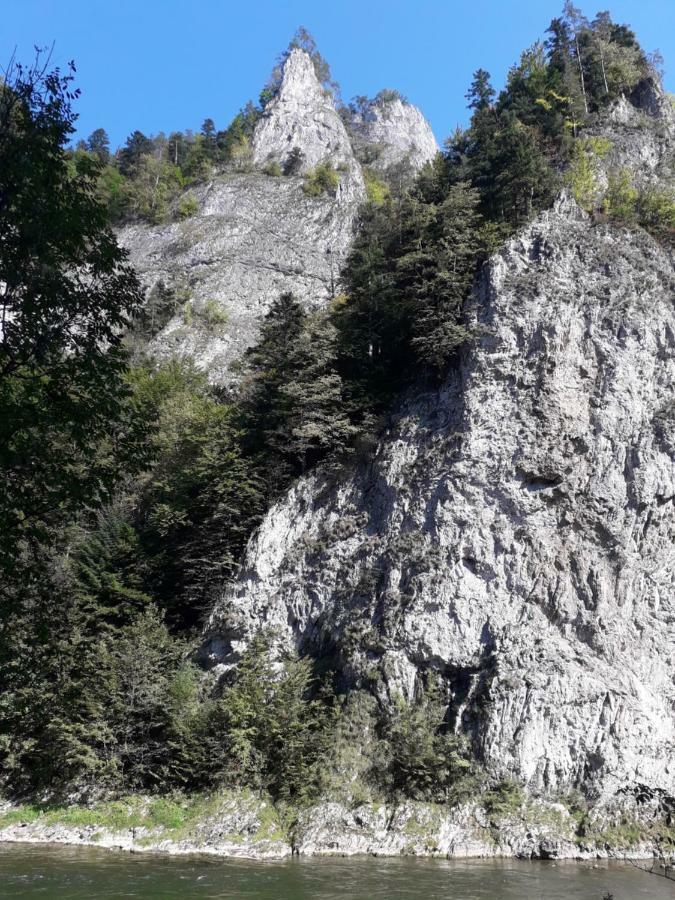 Chata Holica Pieniny Lesnica Bagian luar foto
