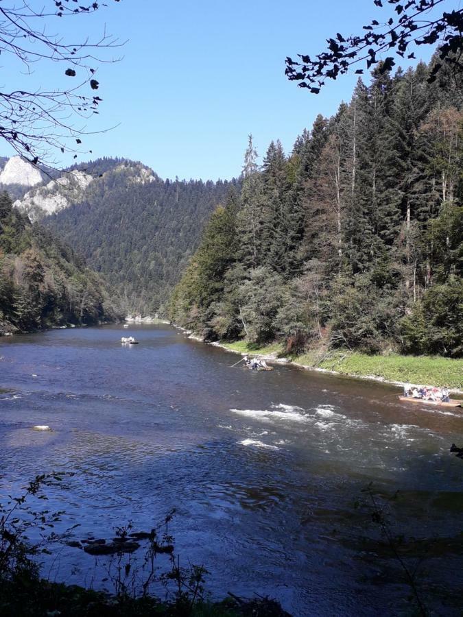Chata Holica Pieniny Lesnica Bagian luar foto