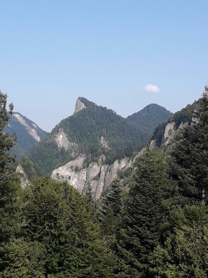 Chata Holica Pieniny Lesnica Bagian luar foto
