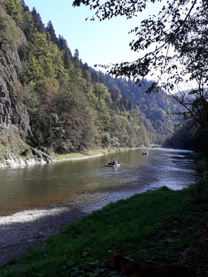 Chata Holica Pieniny Lesnica Bagian luar foto