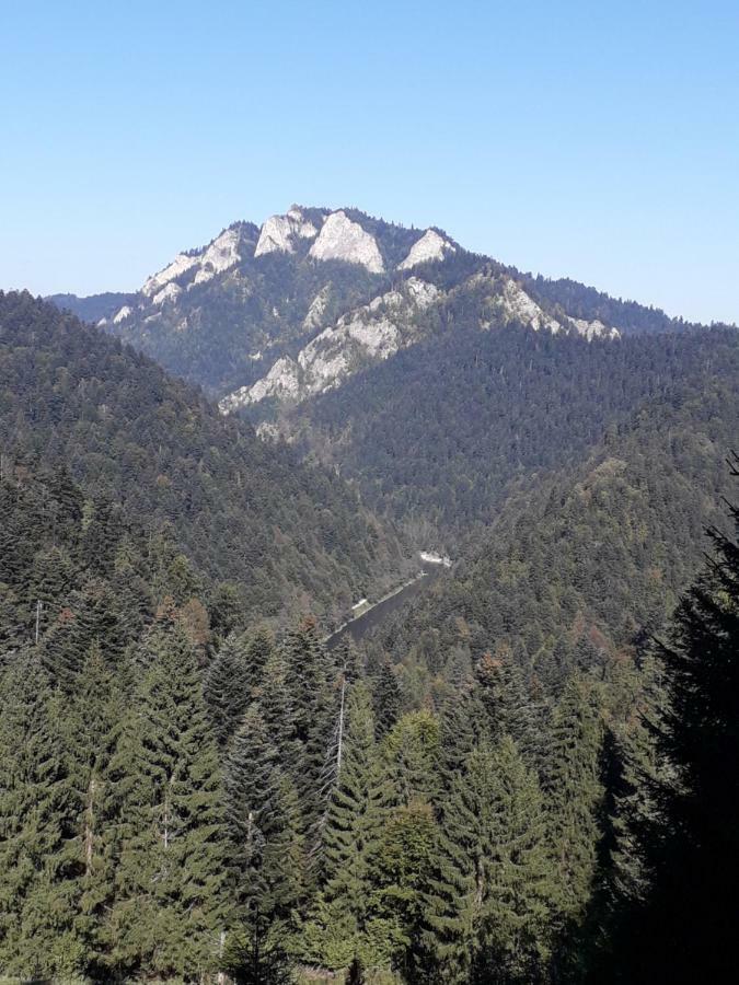 Chata Holica Pieniny Lesnica Bagian luar foto