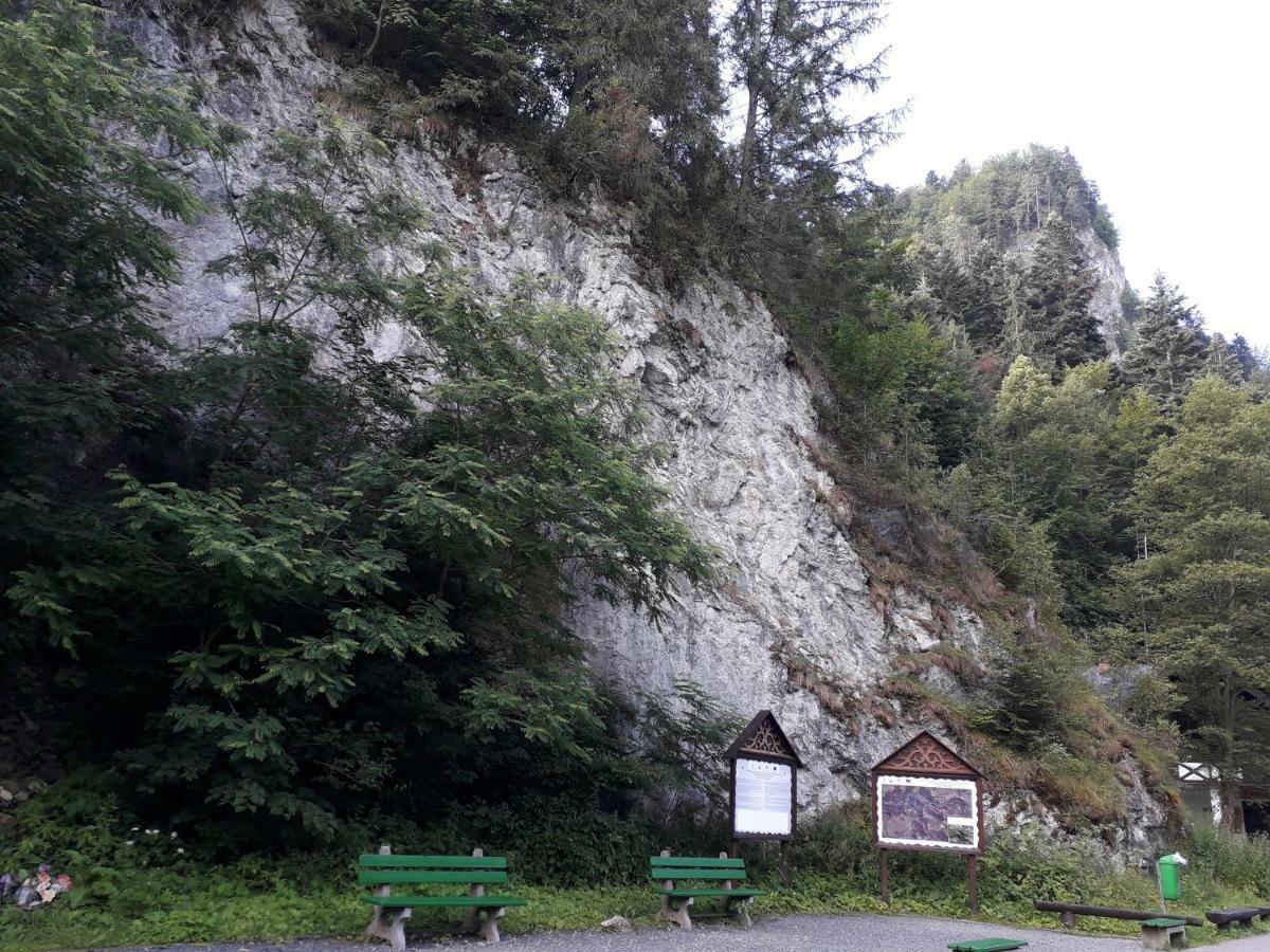 Chata Holica Pieniny Lesnica Bagian luar foto