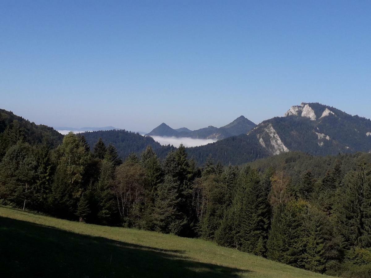 Chata Holica Pieniny Lesnica Bagian luar foto