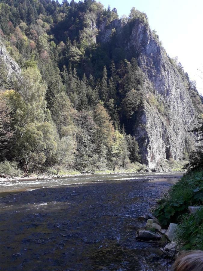 Chata Holica Pieniny Lesnica Bagian luar foto