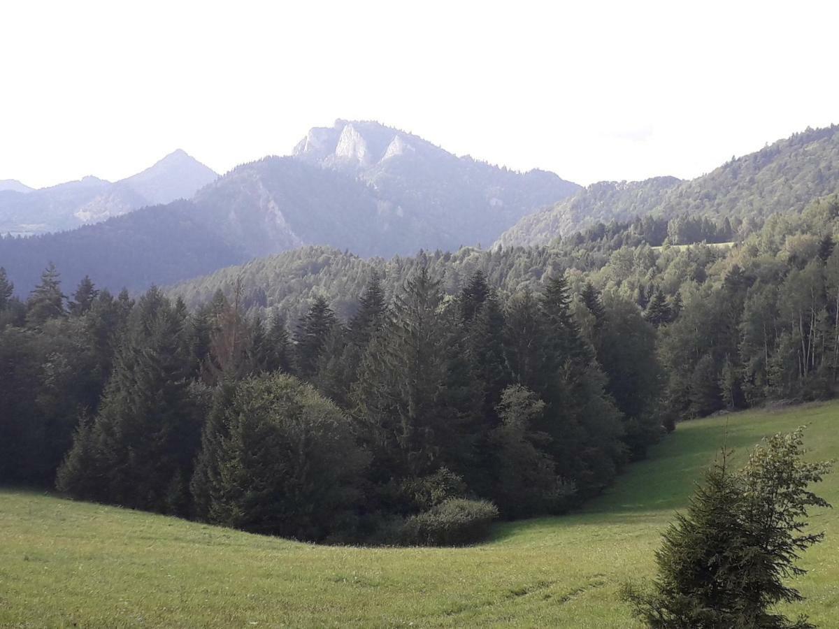 Chata Holica Pieniny Lesnica Bagian luar foto